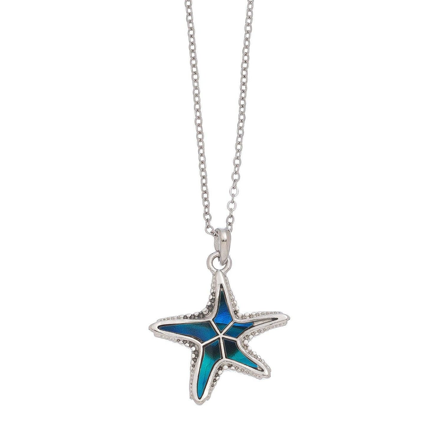 Abalone shell starfish pendant necklace from Howard's featuring a beach-inspired ocean jewelry design.