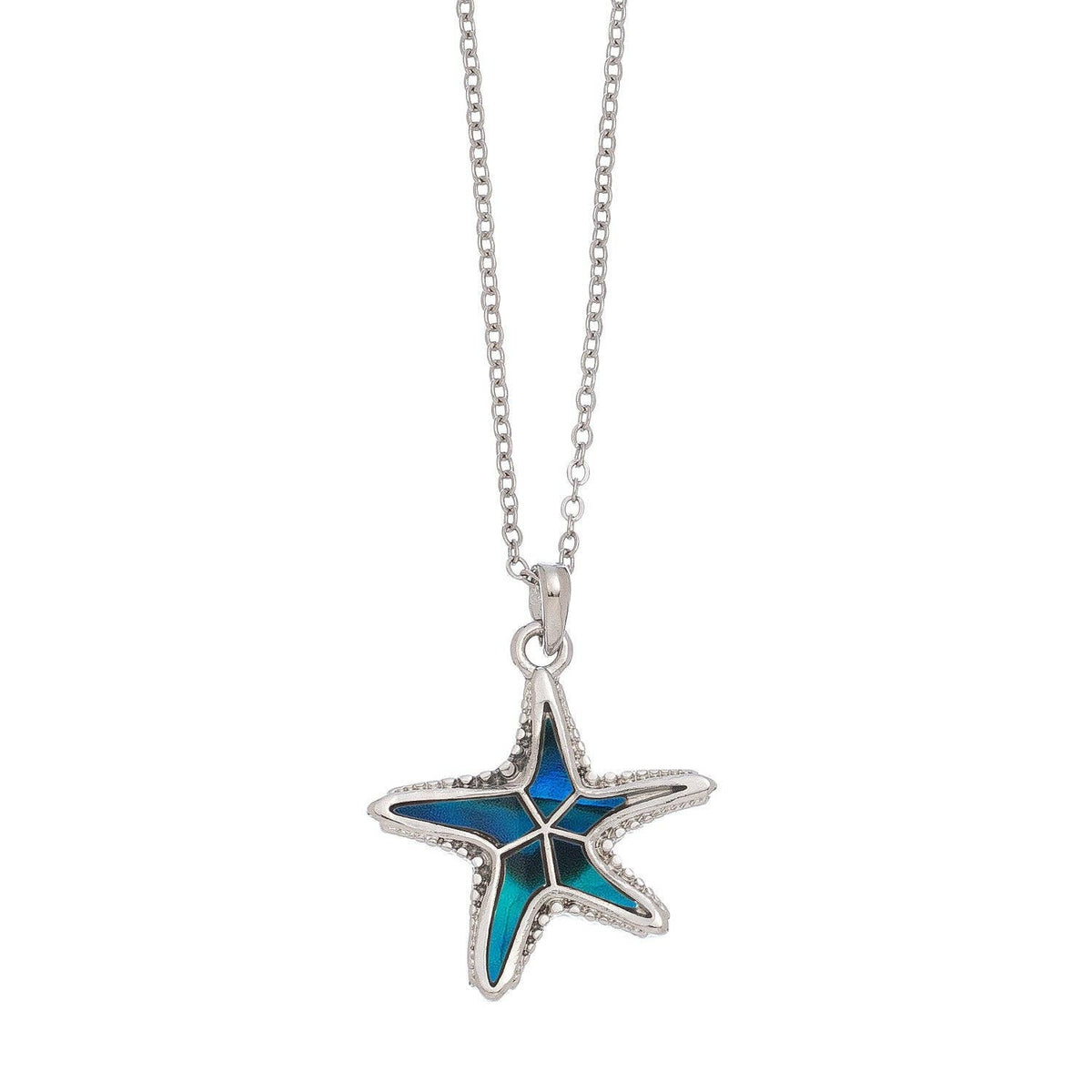 Abalone shell starfish pendant necklace from Howard's featuring a beach-inspired ocean jewelry design.