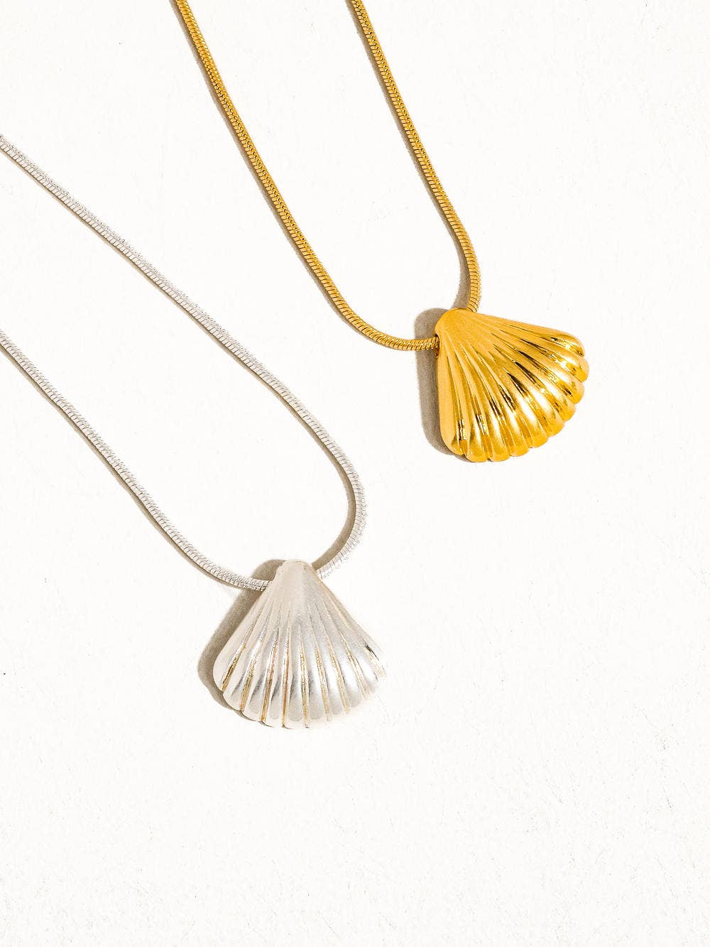 Cosmic Classic Shell Necklace by Flanerie by MAIQ featuring a delicate shell pendant on a fine chain.