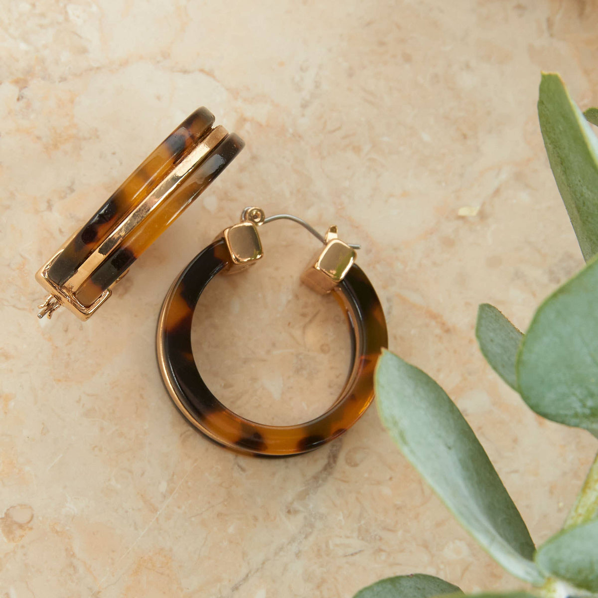 Howard's Sloane tortoiseshell circle acrylic hoop earring showing a large, round tortoiseshell design with gold-tone accents.