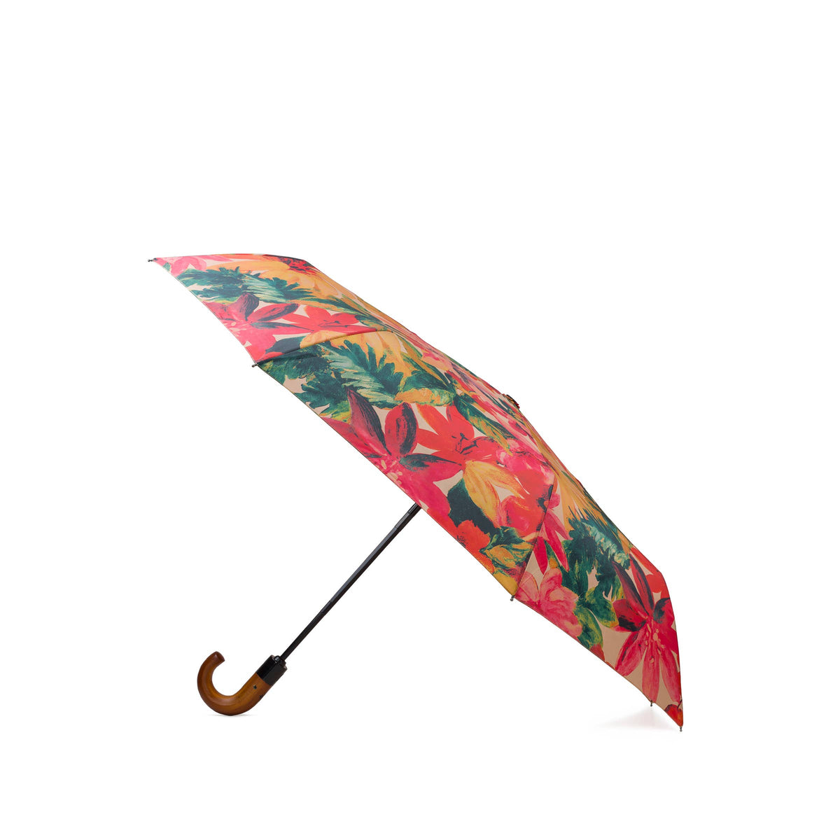 Patricia Nash Magliano umbrella in spring multi with floral pattern and curved handle, open to showcase colorful design.