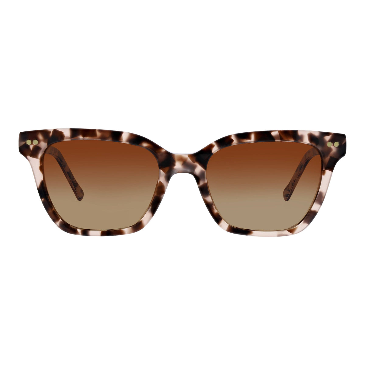 Vera Bradley Eyewear Keegan Paradise Coral polarized sunglasses with coral-colored frames and dark tinted lenses.